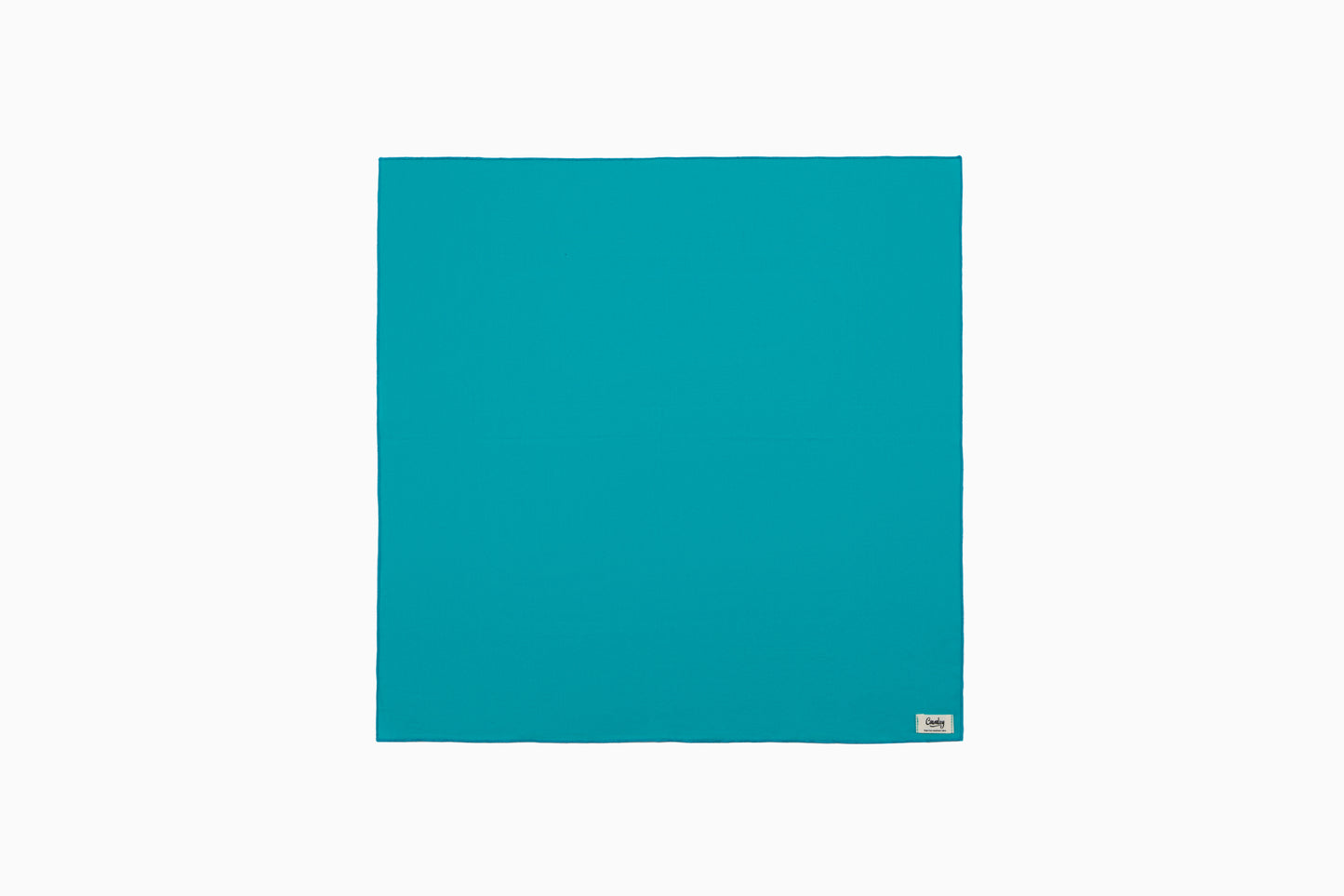Teal Popsicle Bandana