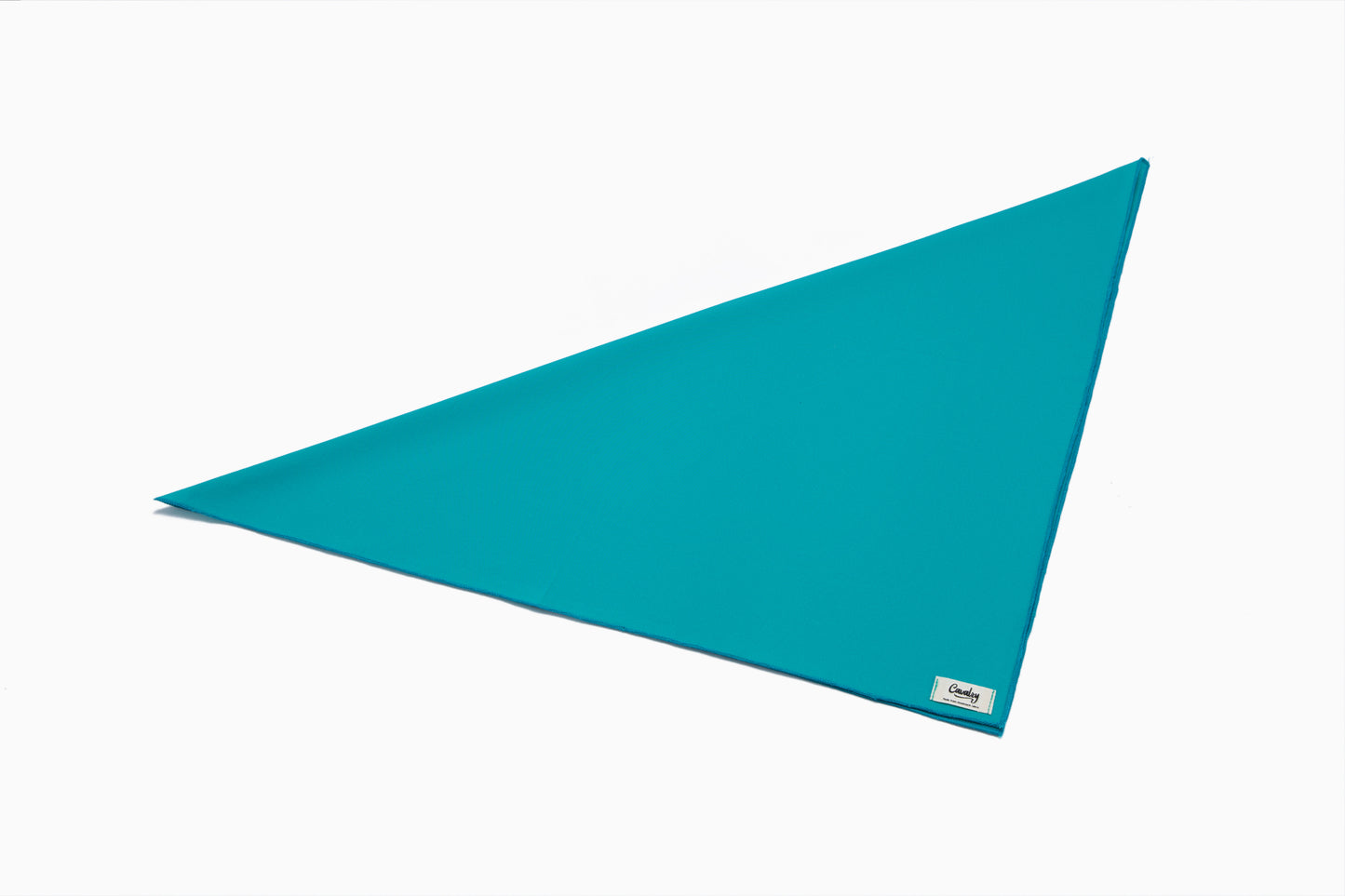 Teal Popsicle Bandana
