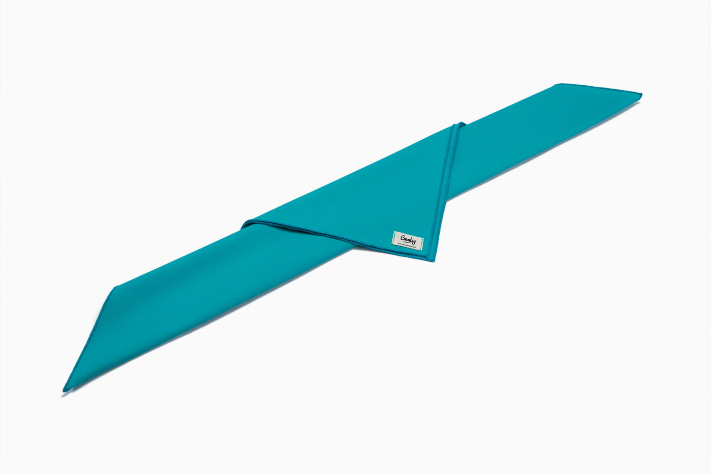 Teal Popsicle Bandana
