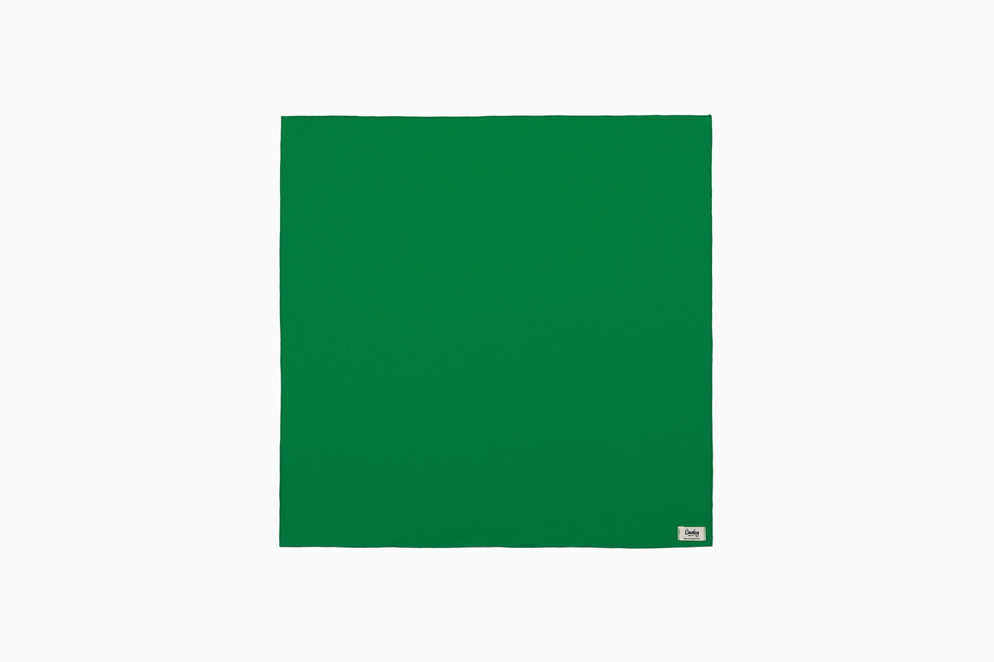 Green Popsicle Bandana