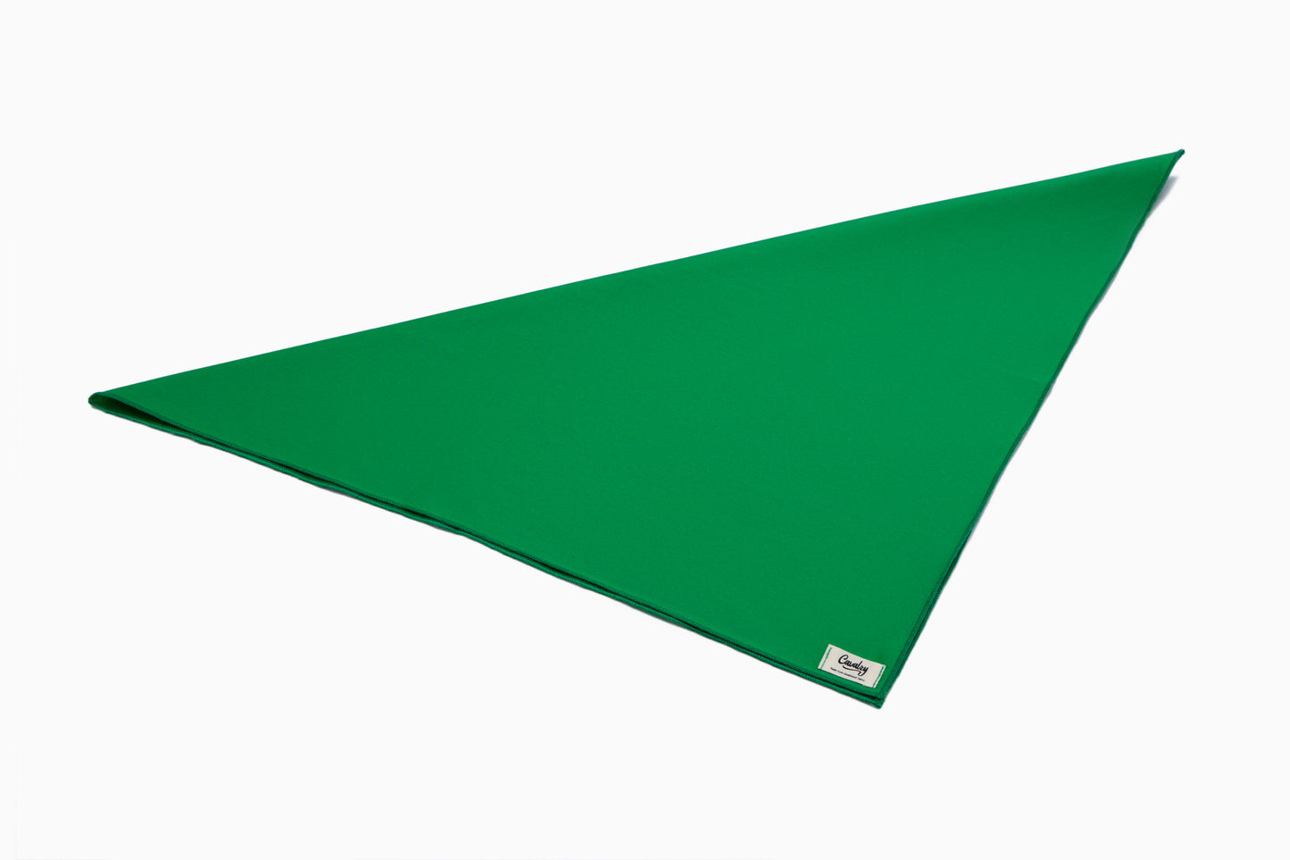 Green Popsicle Bandana
