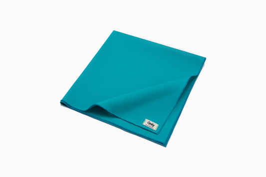 Teal Popsicle Bandana